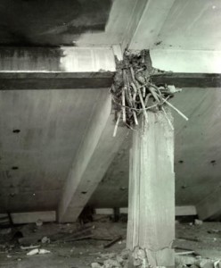 Concrete Structural Defects